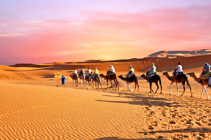 2-Day Camel Trekking Adventure in the Zagora Desert Oasis