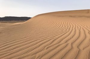 Camel Trekking