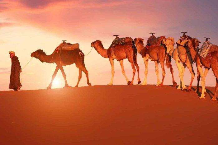 3 DAY DESERT TOUR FROM MARRAKECH TO ERG CHEGAGA