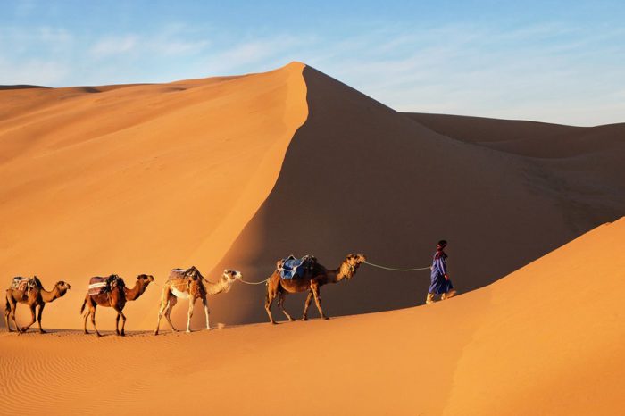 Erg Chigaga Standard Desert Camp: A Tranquil Oasis in the Sahara