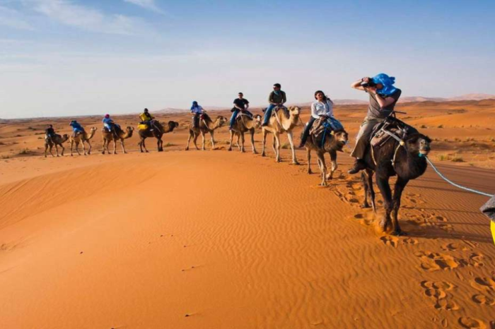 Zagora Desert Camp: Overnight & Camel Ride