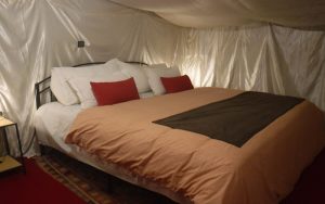 Erg Lihoudi Luxury Desert Camp