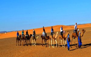 Zagora Desert Camp