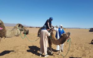 Zagora Desert Camp