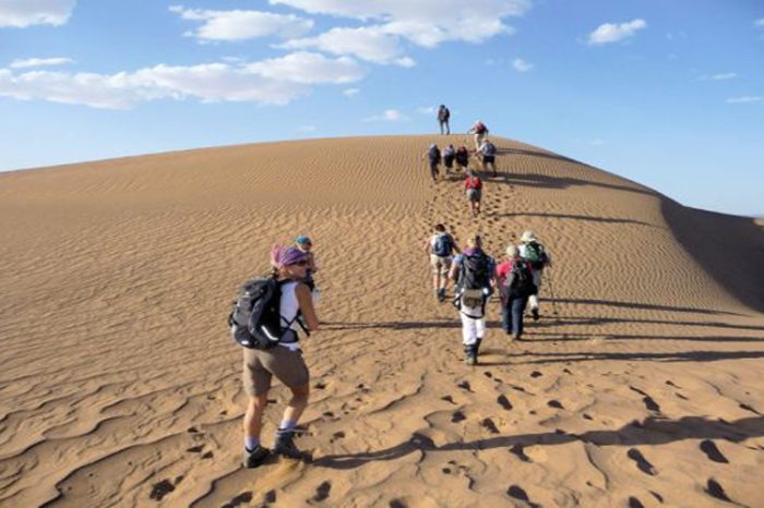 4 days 3 Nights Camel Trekking – Oasis and  Desert