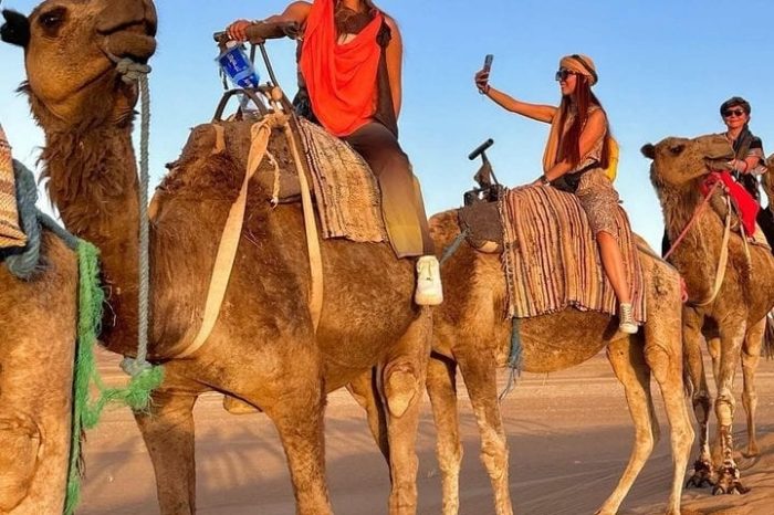 Camel Ride Tour Experience